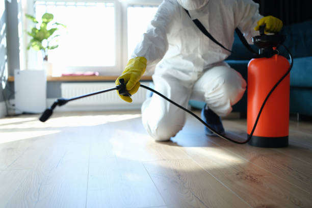 Reliable Hoarding Cleanup contractor in Lakewood, NY by Dulley Family Biohazard Services